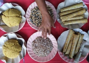 Leye atau dalam bahasa Jaa disebut Jali jali merupakan salah satu pangan lokal yang terancam punah. Leye di wilayah Kedang merupakan salah satu pangan lokal yang masih dipertahankan berkat tradisi adat masyarakat setempat terkhusus di Desa Hoelea 1 dan Hoelea 2, Kecamatan Omesuri, Kabupaten Lembata, Provinsi Nusa Tenggara Timur.