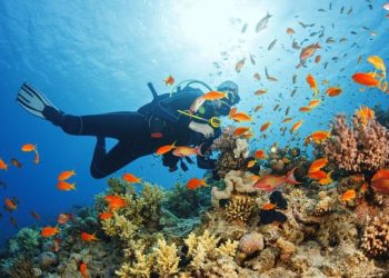 Ilustrasi scuba diving di Indonesia.