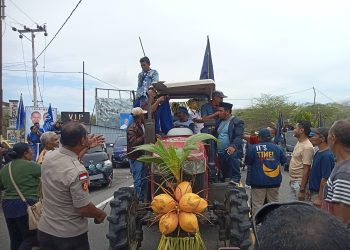 Calon bupati dan wakilbupati Paket Tunas Kanis Tuaq - Muhamad Nasir menumpang traktor dan berkonvoi dari Bundaran HI memasuki Kota Lewoleba, dalam rangka kampanye akbar Paket Tunas di Pantai Wulenluo, Lewoleba, Sabtu, 16 November 2024.