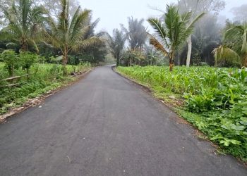 Ruas jalan di sekitar wilayah pengembangan PLTP Mataloko yang telah dibangun PT PLN dan mendukung peningkatan usaha masyarakat.