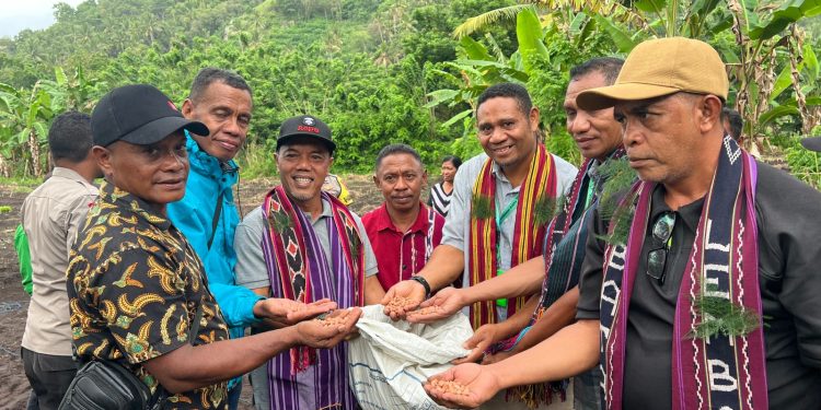 Petunggi PLN bersama Yayasan Papha saat penanganan kacang tanah untuk en dukung program TJSL di Desa Atakore, Kecamatan Atadei, Kabupaten Lembata.