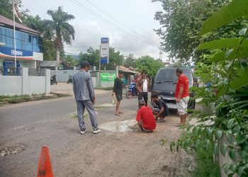 Para aktivis Taman Daun sedang gotong royong menambal jalan berlubang di depan BRI Unit Lewoleba, Rabu, 12 Maret 2025.