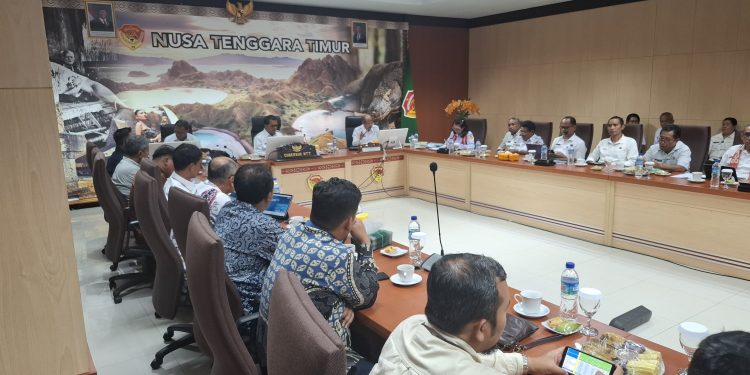 Rombongan PT PLN (Persero) saat audiensi dengan Gubernur NTT di Kupang, membicarakan pengembangan proyek strategis nasional di bidang pengembangan panas bumi di NTT.