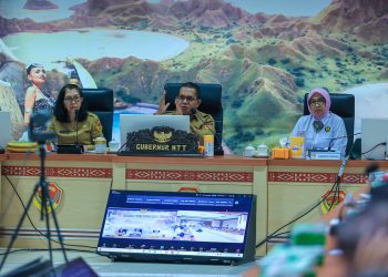 Gubernur NTT Emanuel Melkiades Laka Lena audiensi bersama Kementerian Energi dan Sumber Daya Mineral (ESDM), PT PLN (Persero), para pengembang panas bumi, bupati setempat, serta kelompok pemerhati lingkungan WALHI dan elemen masyarakat dari JPIC SVD, pada Senin, 28 April 2025 di kantor Gubernur NTT.