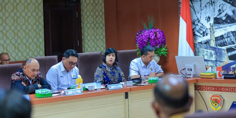 Ahli geothermal Institut Teknologi Bandung (ITB), Ali Ashat menyebutkan, terdapat beberapa jenis geothermal dengan sistem kerja yang berbeda. Oleh sebab itu, risiko geothermal di suatu negara belum tentu sama dengan negara lain.