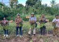 Panen perdana kacang tanah oleh kelompok tani binaan PT PLN (Persero) UIP Nusra di Desa Nubahaeraka, Kecamatan Atadei, pada Sabtu, 3 Mei 2025.