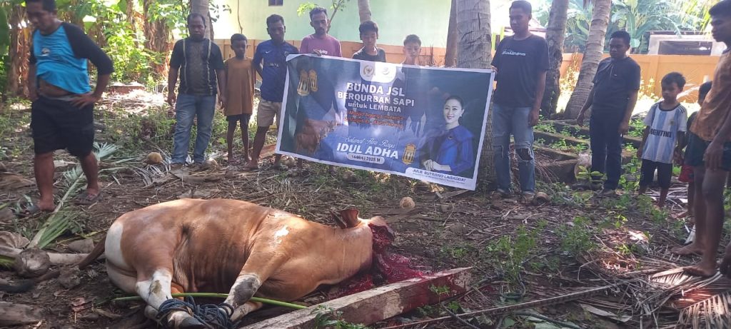 Penyembelihan hewan kurban sunbangan dari anggota Komisi XI DPR RI dari Fraksi Partai NasDem Julie Sutrisno Lauskodat di Masjid Al-Abrar Desa Bareng, Kecamatan Omesuri, Kabupaten Lembata, Sabtu, 7 Juni 2025.