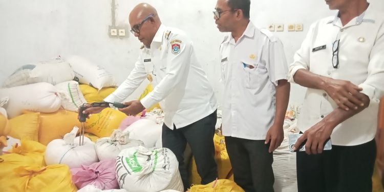 Bupati Lembata Petrus Kanisius Tuaq mencoba mengukur kadar air pada jagung saat mengunjungi gudang jagung di gudang CWC, Lamahora, Rabu, 11 Juni 2025. Ia didampingi Kadis Perindagkop Wilhelmus Leuweheq dan Plt Kadis Pertanian Mukhtar Hali.