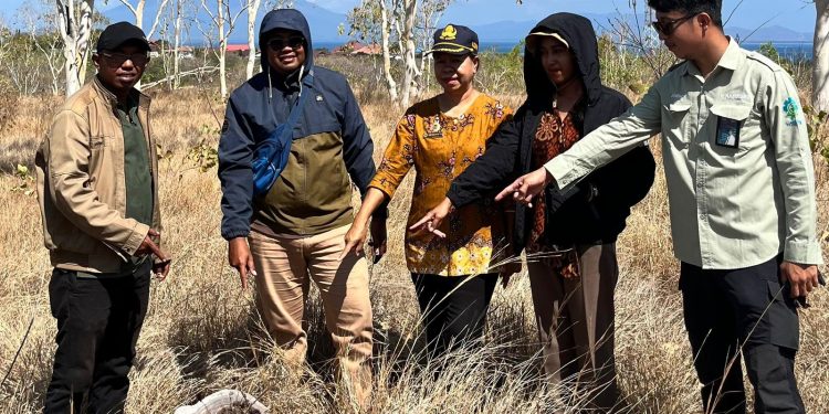 PLN UIP Nusra bersama Badan Pertanahan Nasional ( BPN ) Kabupaten Lembata melakukan survey lokasi untuk pembangunan PLTS Lembata 1 sebagai syarat penerbitan Pertek KKPR.