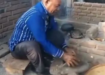 Petrus Kanisius Tuaq, Bupati Lembata tampak sedang titi jagung saat masih menjabat Kepala Dinas Pertanian dan Ketahanan Pangan Lembata.