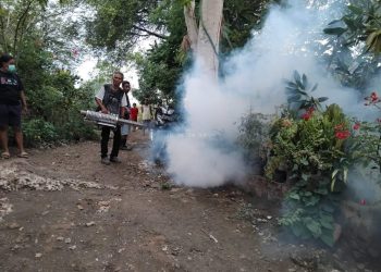 Dinas Kesehatan Lembata menurunkan petugas melakukan Foging di sejumlah titik di wilayah Endemi DBD.