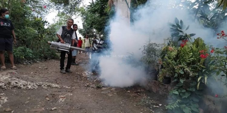 Dinas Kesehatan Lembata menurunkan petugas melakukan Foging di sejumlah titik di wilayah Endemi DBD.