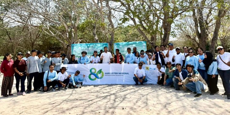 PLN, Politeknik KP Kupang, dan masyarakat Desa Lifuleo bergotong royong memungut berbagai jenis sampah yang berserakan di sepanjang bibir Pantai Oesina untuk kemudian dibuang ke tempat pembuangan akhir.