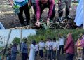 Bupati Lembata P Kanisius Tuaq melakukan penanaman perdana di kebun seminari SFS di Labanobol.