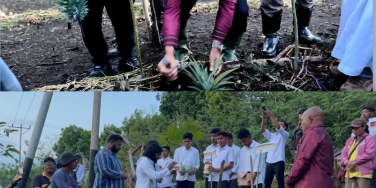 Bupati Lembata P Kanisius Tuaq melakukan penanaman perdana di kebun seminari SFS di Labanobol.
