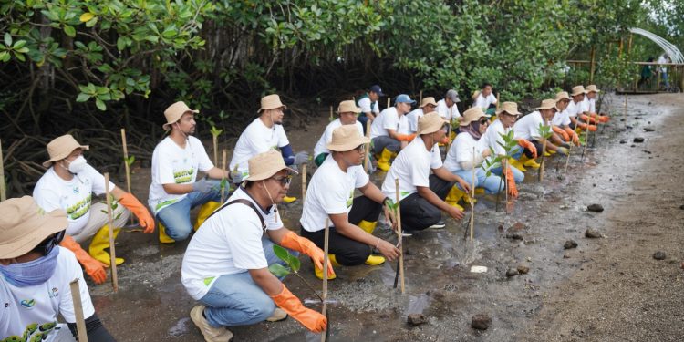 Memperingati Hari Menanam Pohon Indonesia, PT PLN iUP Nusra dan PLN Grup menanam 5.000 bibit mangrove dan 300 tanaman pesisir lainnya, di Desa Jerowaru dan Desa Sugihan, Kabupaten Lombok Timur, pada Jumat, 28 November 2025.