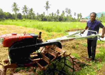 Kelompok Tani Belangor, Waikomo yang menerima bantuan hand traktor dari Pemda Lembata tengah memanfaatkan untuk membacakan lahan sawah di persawahan Waikomo, Rabu, 7 Januari 2026. 