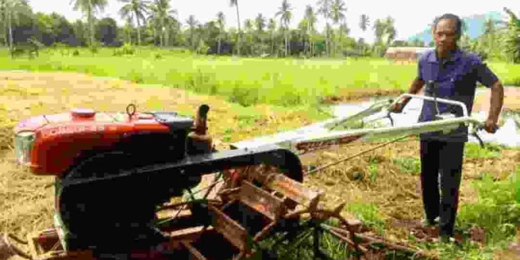 Kelompok Tani Belangor, Waikomo yang menerima bantuan hand traktor dari Pemda Lembata tengah memanfaatkan untuk membacakan lahan sawah di persawahan Waikomo, Rabu, 7 Januari 2026. 