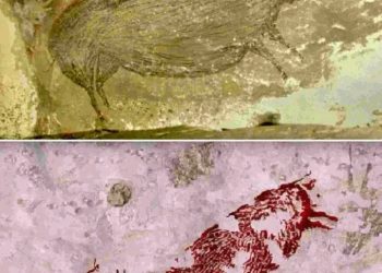 Patahkan Rekor Spanyol, Lukisan Tertua di Dunia Ditemukan di Sulawesi