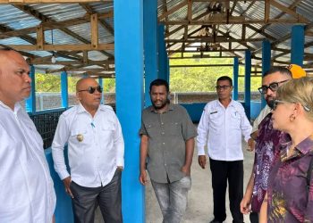 Bupati Lembata dan PT Prime Timor Tinjau Bukit Hog, Dorong Ekspor Daging Babi Organik ke Timor Leste