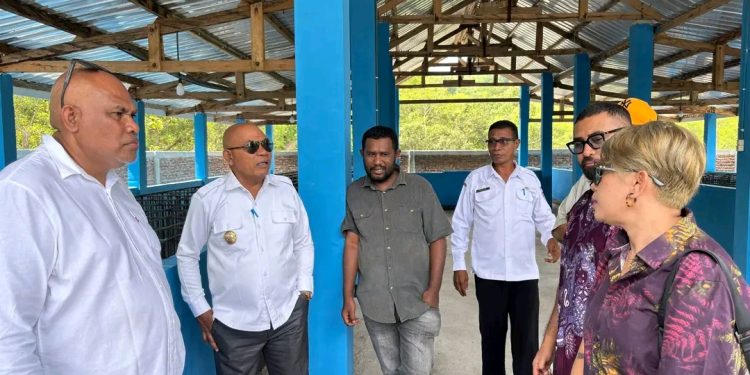 Bupati Lembata dan PT Prime Timor Tinjau Bukit Hog, Dorong Ekspor Daging Babi Organik ke Timor Leste