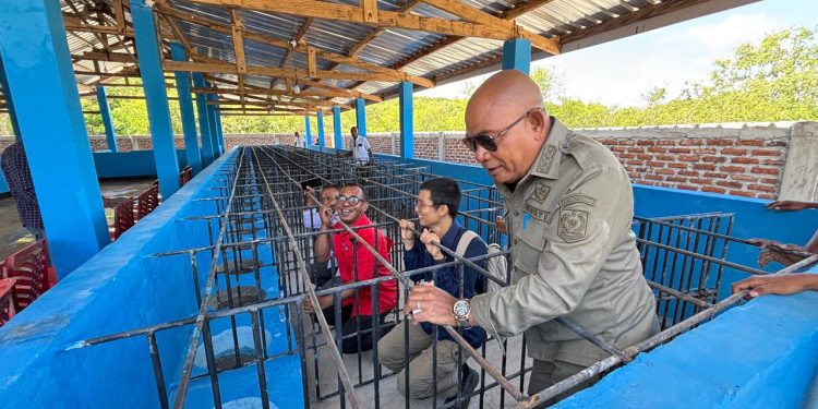 Bupati Lembata P Kanisius Tuaq meninjau langsung lokasi penampungan ternak babi di Wangatoa Atas, Kecamatan Nubatukan, Kabupaten Lembata, Jumat, 9 Januari 2025.