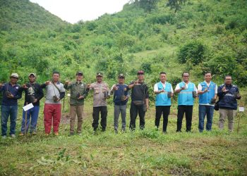 PT PLN IUP Nusra menanam 30.000 pohon pada lahan seluas 66 hektare di kawasan Hutan Produksi Terbatas (HPT) Kelompok Hutan Kemasyarakatan (HKM) Unter Gadung, Kecamatan Rhee, Kabupaten Sumbawa. Kegiatan ini merupakan bagian dari upaya rehabilitasi Daerah Aliran Sungai (DAS) Manni.
