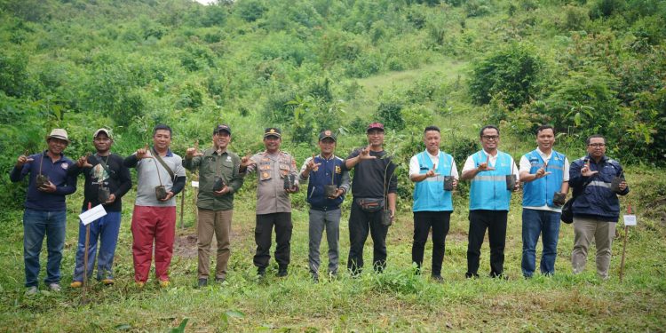 PT PLN IUP Nusra menanam 30.000 pohon pada lahan seluas 66 hektare di kawasan Hutan Produksi Terbatas (HPT) Kelompok Hutan Kemasyarakatan (HKM) Unter Gadung, Kecamatan Rhee, Kabupaten Sumbawa. Kegiatan ini merupakan bagian dari upaya rehabilitasi Daerah Aliran Sungai (DAS) Manni.