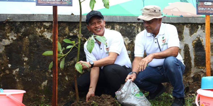 Menteri Lingkungan Hidup, Hanif Faisol (kiri) bersama Direktur Utama PLN Nusantara Power, Ruly Firmansyah (kanan) saat melakukan penanaman pohon sebanyak 1.500 bibit pohon multiguna seperti alpukat, jeruk bali, nangka madu, dan durian di Karanganyar, Jawa Tengah, 13 Februari 2026.