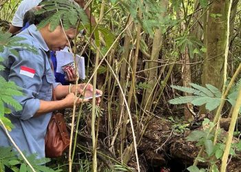 PLN Perkuat Kepastian Hukum Proyek Geothermal Atadei, Sinergi BPN Dukung PSN dan Transisi Energi