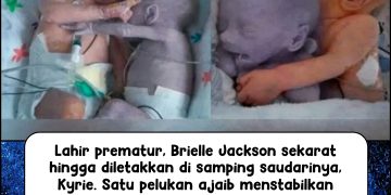 Pelukan Ajaib The ‘Rescuing Hug’ Menyelamatkan Nyawa dan Mengubah Dunia Kedokteran