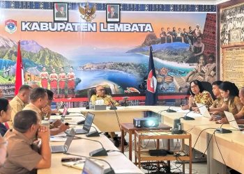 Pemkab Lembata Perkuat Komitmen Turunkan Pengangguran, Raih Apresiasi Tim Kemendagri dalam Validasi IGA