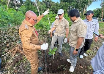 Pemkab Lembata Dorong Pengembangan Jambu Mente, Investor Lakukan Monitoring dan Survei Lapangan