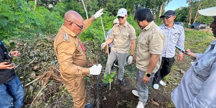 Pemkab Lembata Dorong Pengembangan Jambu Mente, Investor Lakukan Monitoring dan Survei Lapangan