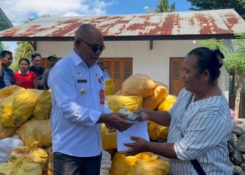 Pemkab Lembata Buka Pembelian Jagung di CWC Selandoro, Petani Nikmati Penjualan dan Pembayaran Langsung