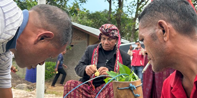 PLN Hadir Bersama Adat: Pengukuhan POKJA Tanah PLTP Atadei Dilandasi Kearifan Lokal di Nubahaeraka