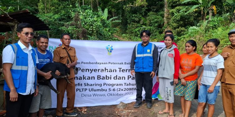 PLN Perkuat Pemberdayaan Ekonomi Berbasis Lokal, Program Ternak di Desa Wewo Sekitar Pengembangan PLTP Ulumbu Tunjukkan Dampak Positif