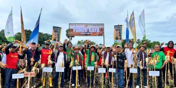 Wakil Bupati Lembata Hadiri Panen Raya Jagung PT SMJ, Dorong Kolaborasi Bangun Pertanian Modern dan Mandiri