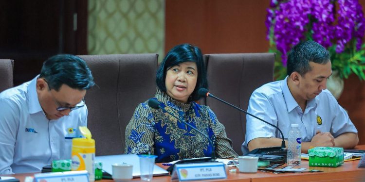 Edukasi Geothermal Diperkuat, PLN Gandeng Ahli UGM Jelaskan Fenomena Alam di Flores