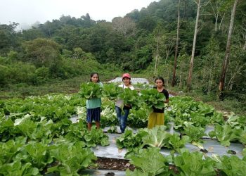Geothermal Flores Dorong Pertumbuhan Ekonomi dan Pemberdayaan Masyarakat