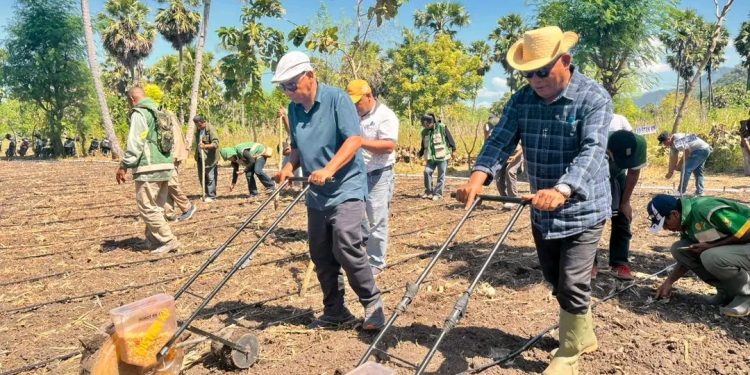 Bupati Kanis Tuaq Dorong Desa Bean Jadi Sentra Benih dan Percontohan Pertanian Modern