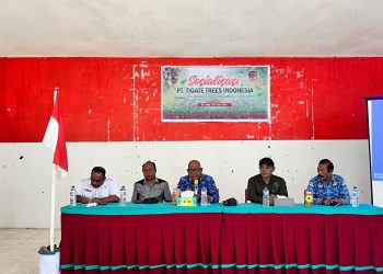 Dari Kunjungan Tanpa Undangan, Hadir Investasi 2.000 Hektare Jambu Mete di Lembata