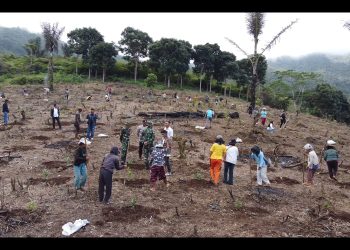 PLN UIP Nusra Luncurkan Program Agroforestry Hetero, Dukung Kemandirian Ekonomi Masyarakat Desa Wewo
