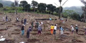 PLN UIP Nusra Luncurkan Program Agroforestry Hetero, Dukung Kemandirian Ekonomi Masyarakat Desa Wewo