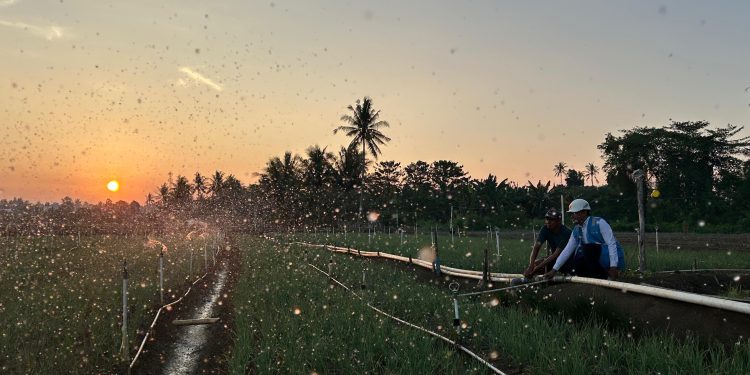 Tarif Listrik Triwulan III 2026 Tetap, PLN Siap Jalankan Kebijakan Pemerintah dan Jaga Kualitas Layanan ke Masyarakat