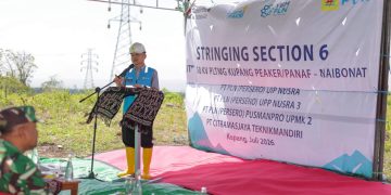 PLN UIP Nusra Rampungkan Stringing Section 6 SUTT 150 kV PLTMG Kupang Peaker/Panaf – Naibonat