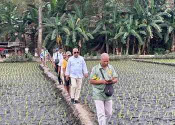 Bupati Lembata Tinjau Irigasi Urumitem Waikomo, Dorong Produktivitas Sawah dan Kemandirian Pangan Daerah