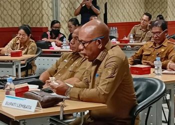 Bupati Lembata Perjuangkan Perluasan Akses Listrik Desa dalam Rakor Pemerintah se-NTT